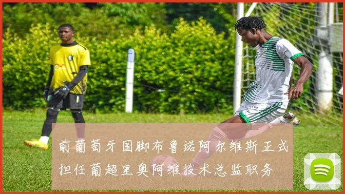 前葡萄牙国脚布鲁诺阿尔维斯正式担任葡超里奥阿维技术总监职务