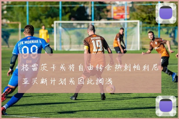 格雷茨卡或将自由转会热刺帕利尼亚买断计划或因此搁浅