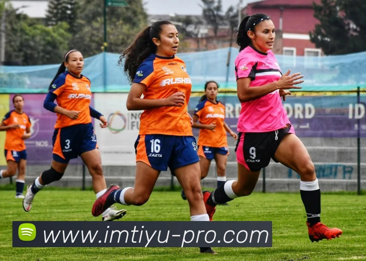 im体育平台生态图